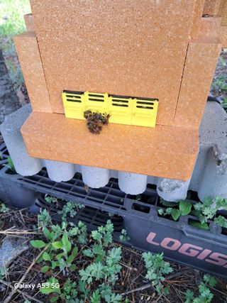 조연만님의 작성글 사진