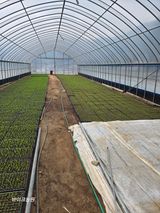 팜모닝회원 바이크농원님의 작성글 사진