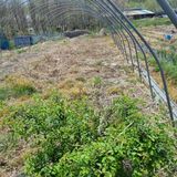 초록하늘별님의 작성글 사진