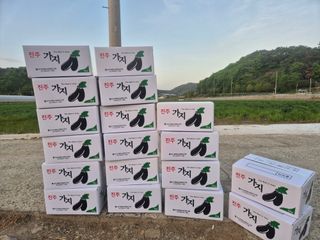 늘햇살팜 님의 기타작물 · 영농일지 작성글 사진