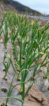 정연섭님의 작성글 사진