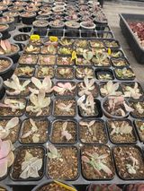 신상섭님의 작성글 사진