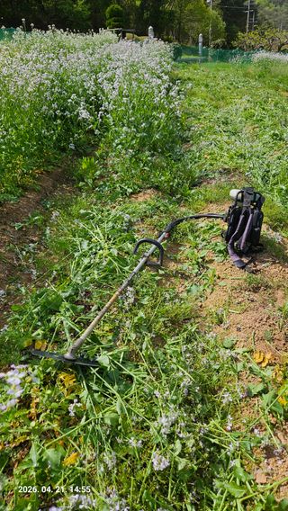 임상근님의 콩 · 영농일지 작성글 사진