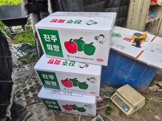 늘햇살팜 님의 기타작물 · 영농일지 작성글 사진