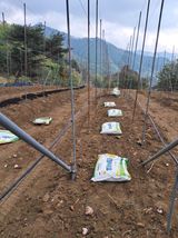 양배추20804님의 작성글 사진