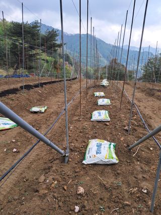 양배추20804님의 사과 · 영농일지 작성글 사진