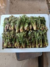 인생은 소풍처럼~님의 작성글 사진