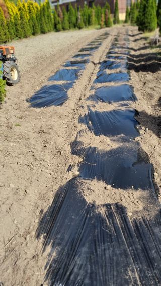 김동명님의 기타작물 · 영농일지 작성글 사진