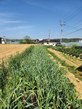 노복우님의 작성글 사진