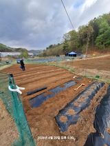 이수홍(이창희)님의 작성글 사진