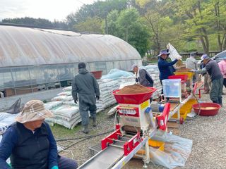 별@노래농장(정씨)님의 벼 · 영농일지 작성글 사진