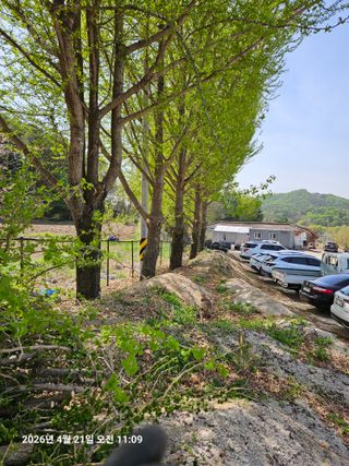 김병효님의 기타작물 · 영농일지 작성글 사진