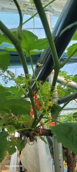 서대산향수님의 작성글 사진