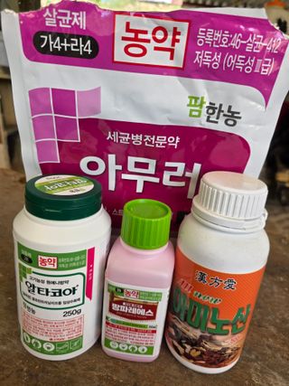 (박미성)님의 복숭아 · 영농일지 작성글 사진