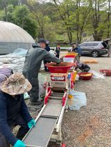 별@노래농장(정씨)님의 작성글 사진