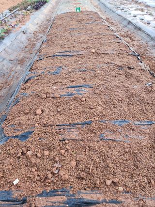 벙개도리님의 기타작물 · 영농일지 작성글 사진