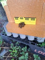 조연만님의 작성글 사진