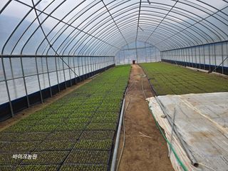 팜모닝회원 바이크농원님의 기타작물 · 영농일지 작성글 사진