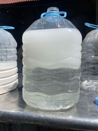 별@노래농장(정씨)님의 고추 · 영농일지 작성글 사진