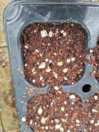 이재상님의 기타작물 · 영농일지 작성글 사진