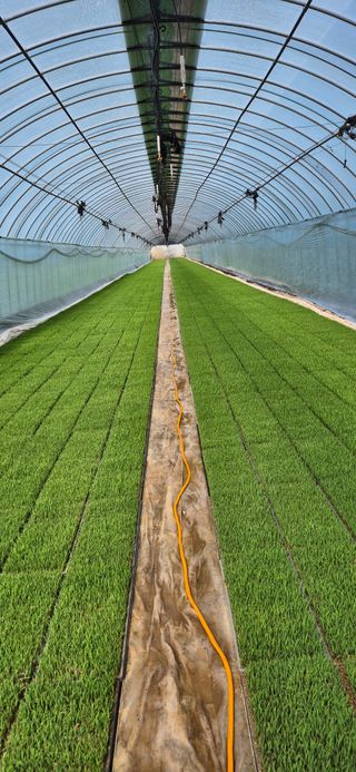 미노님의 기타작물 · 영농일지 작성글 사진