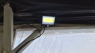 늘푸른 농장주님의 기타작물 · 영농일지 작성글 사진