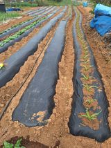 김용환님의 작성글 사진