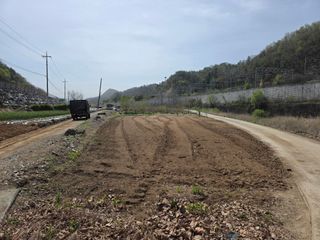 조일성님의 고구마 · 영농일지 작성글 사진