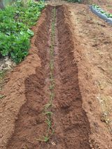 김용환님의 작성글 사진