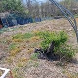 초록하늘별님의 작성글 사진