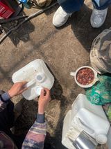 별@노래농장(정씨)님의 작성글 사진