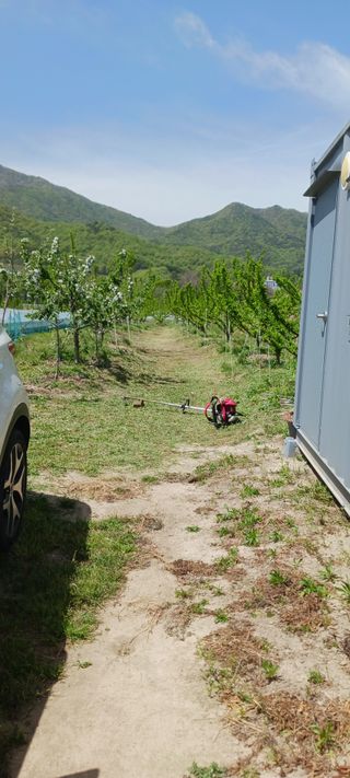 김 연님의 기타작물 · 영농일지 작성글 사진