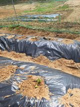 이수홍(이창희)님의 작성글 사진