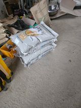 양배추21524님의 작성글 사진