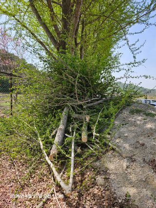 김병효님의 기타작물 · 영농일지 작성글 사진