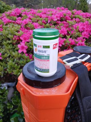 최유순님의 마늘 · 영농일지 작성글 사진