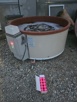 양배추21524님의 기타작물 · 영농일지 작성글 사진