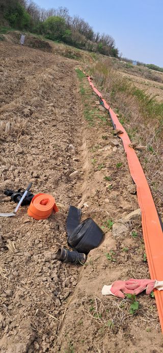 이복길님의 기타작물 · 영농일지 작성글 사진