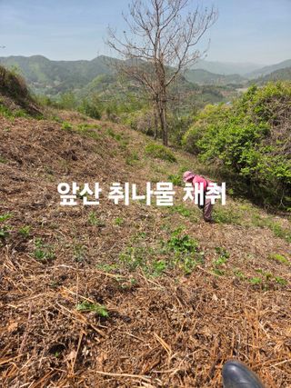 쌍둥이농장님의 기타작물 · 영농일지 작성글 사진