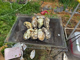 김성필님의 기타작물 · 영농일지 작성글 사진