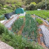 김건우님의 작성글 사진