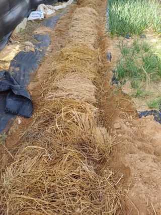 이철우님의 기타작물 · 영농일지 작성글 사진