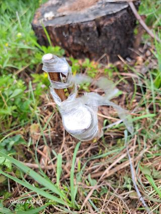 조연만님의 콩 · 영농일지 작성글 사진