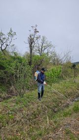 팜모닝 기타작물·영농일지 게시글 이미지