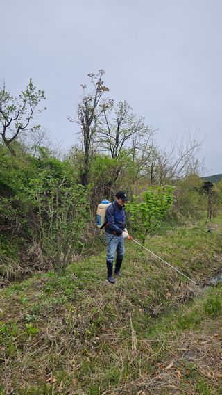 정규환님의 기타작물 · 영농일지 작성글 사진