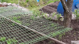 수기님의 기타작물 · 영농일지 작성글 사진