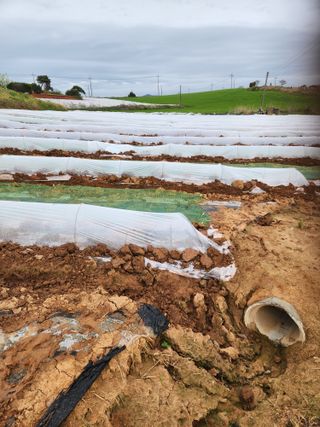 김저팔계님의 기타작물 · 영농일지 작성글 사진