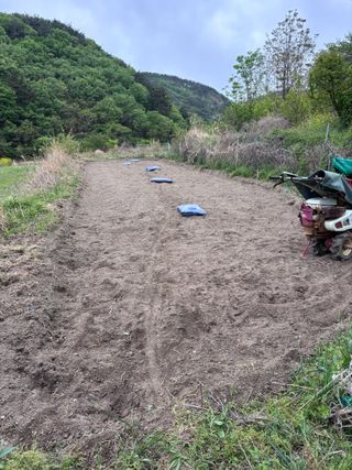 서수원님의 참깨 · 영농일지 작성글 사진