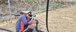 김명숙님의 기타작물 · 영농일지 작성글 사진