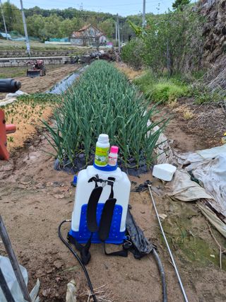 이덕훈(바쁜사람)님의 기타작물 · 영농일지 작성글 사진